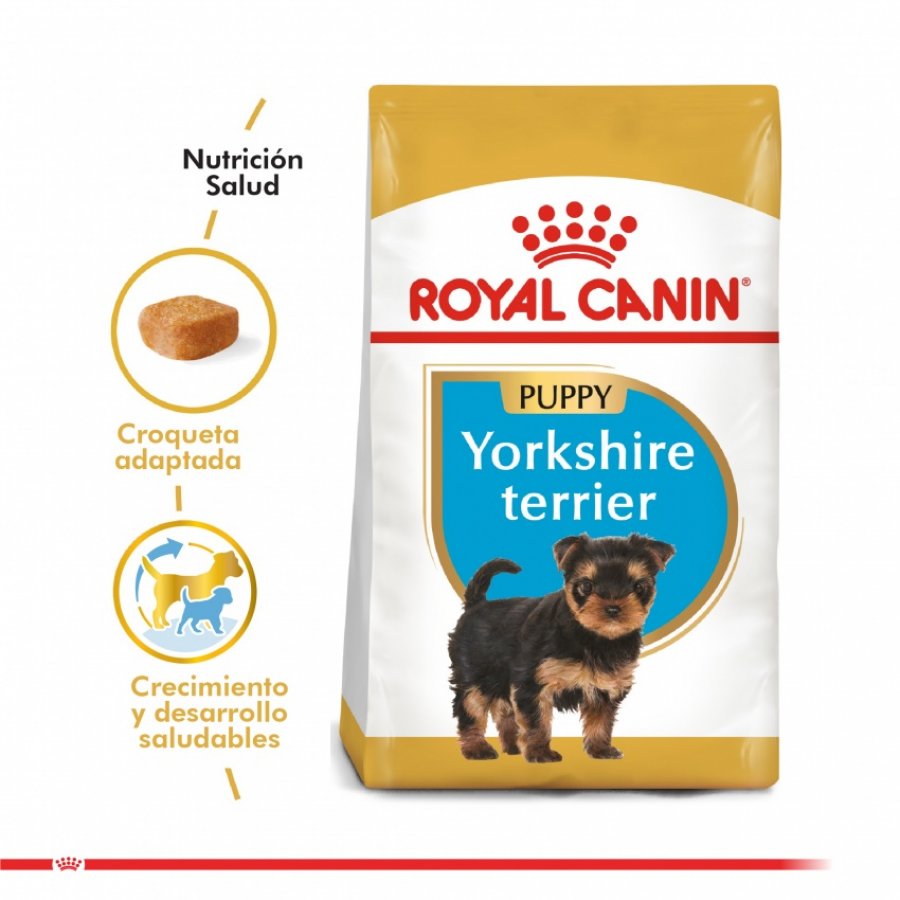 Royal Canin Cachorro Yorkshire Terrier Junior alimento para perro, , large image number null