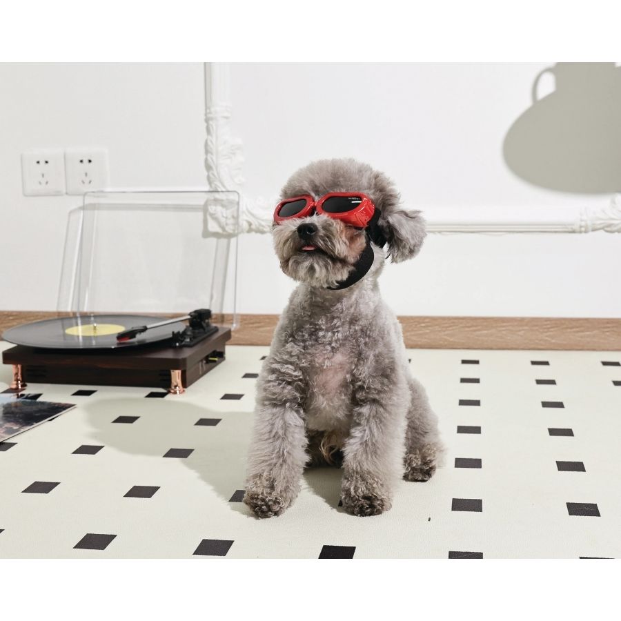 Mpets sunny lentes de viaje para perros con protecci&oacute;n UV, , large image number null