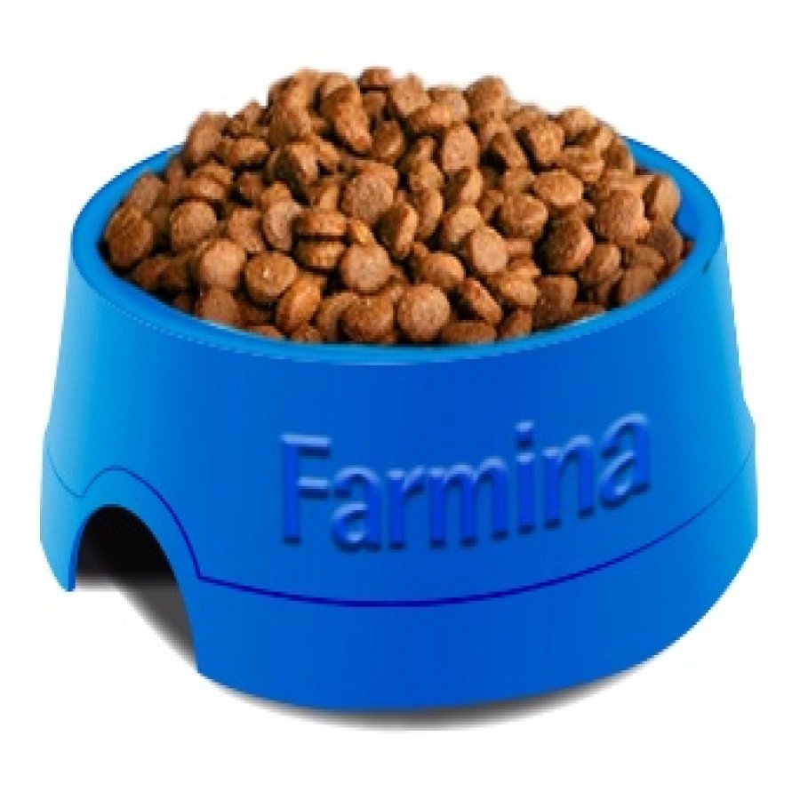 Matisse Farmina Felino Alimento Seco Castrados Salmon, , large image number null