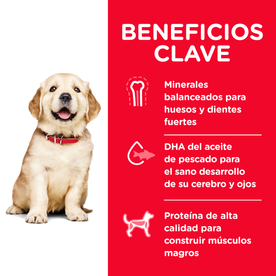 Hills Puppy Large Breed alimento para perro, , large image number null