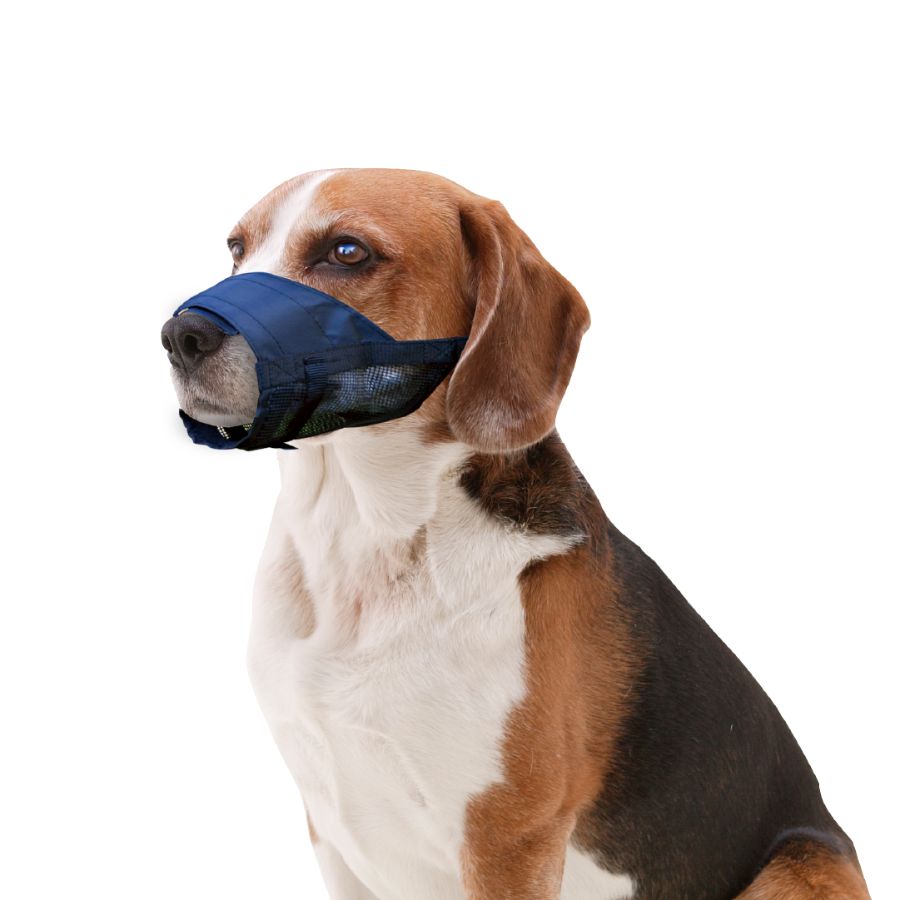 Pawise bozal de tela para perros, , large image number null