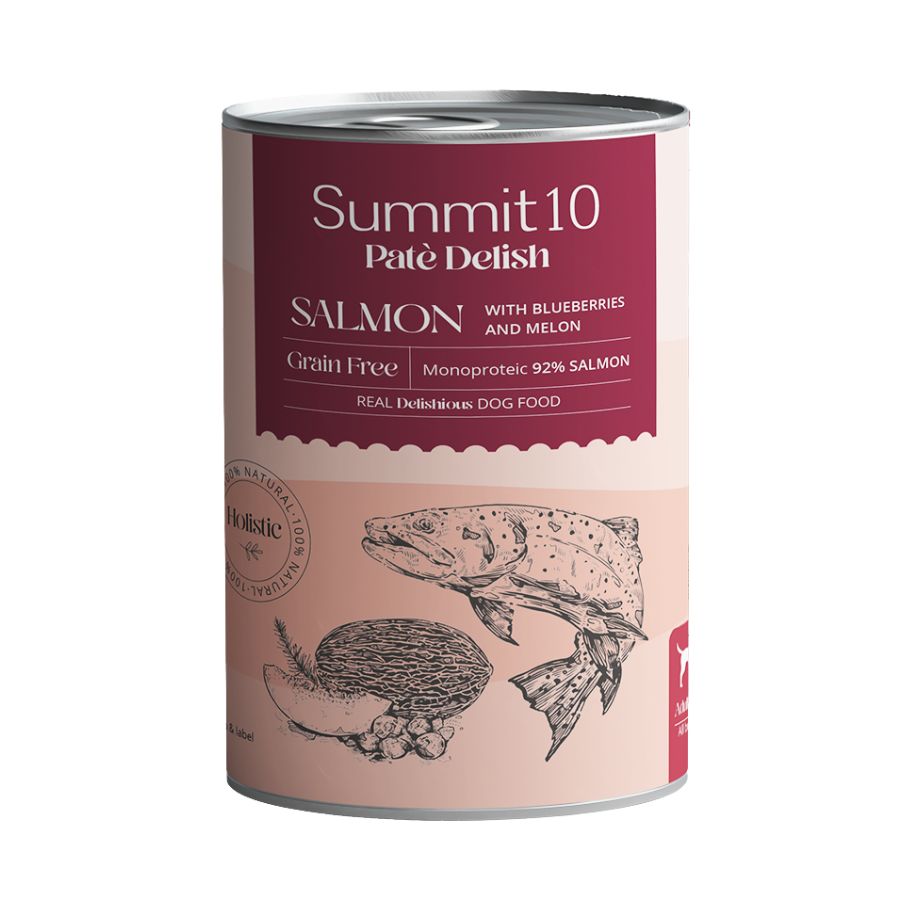 Summit 10 pate delish con salmón para perros 400GR