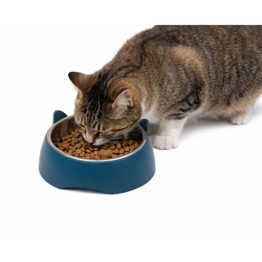 Leeby comedero para gatos 300ml azul pl&aacute;stico/acero inox, , large image number null