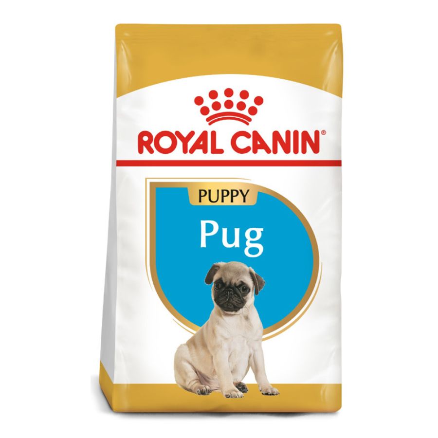 Royal Canin Cachorro Pug Junior alimento para perro, , large image number null