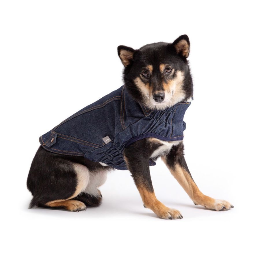 Chaqueta Denim, , large image number null
