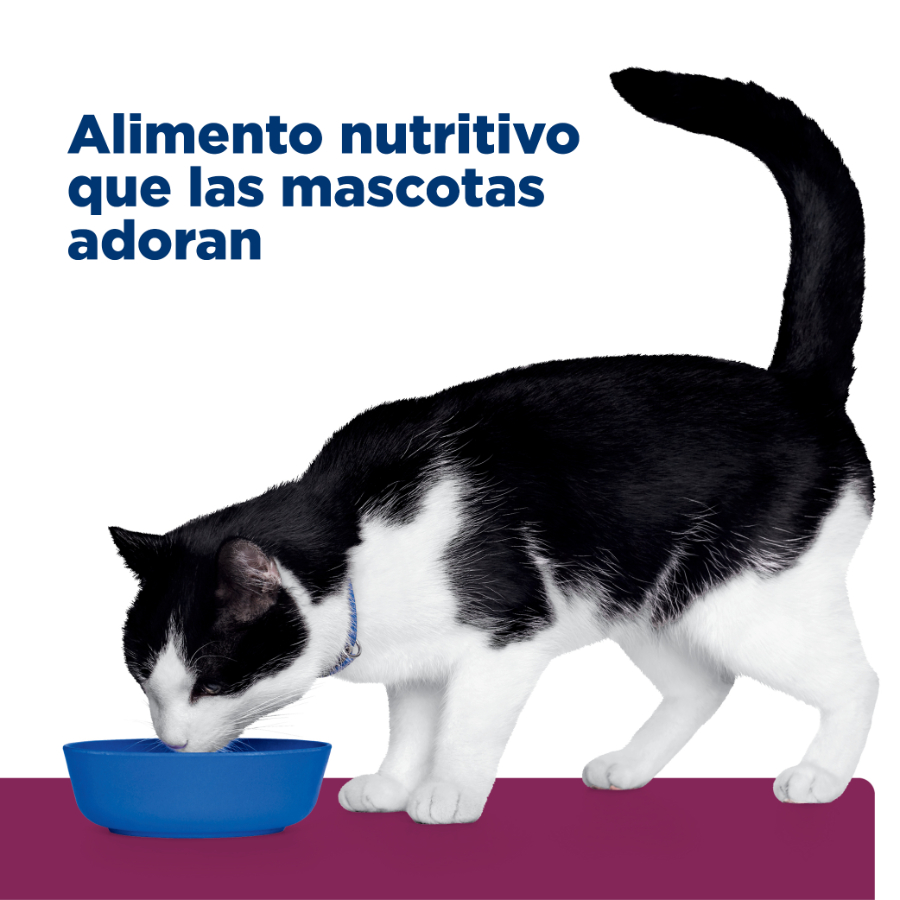 Hills lata feline i/d cuidado digestivo alimento húmedo para gatos 156 GR, , large image number null