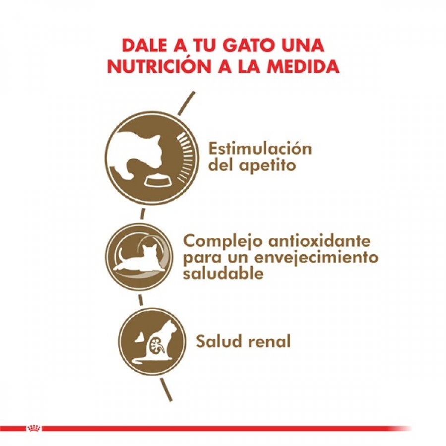 Royal Canin adulto ageing 12+ 2KG alimento para gato, , large image number null