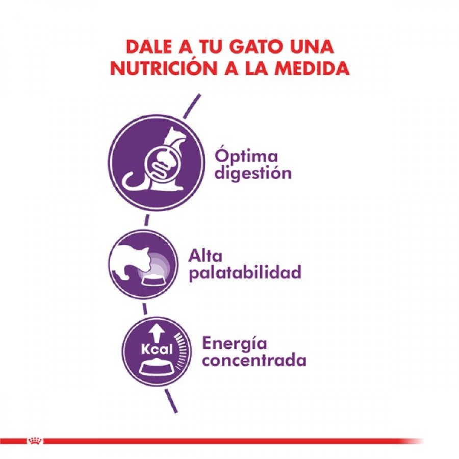 Royal Canin adulto Sensible alimento para gato, , large image number null
