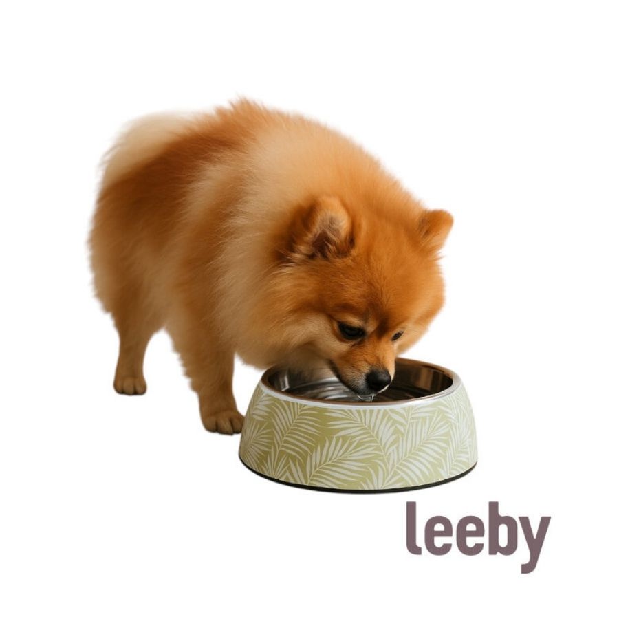 Leeby dog premium k.botanic bowl, , large image number null