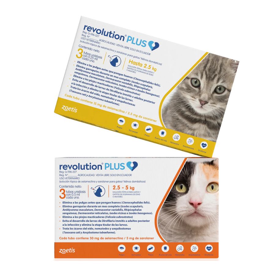 Revolution Plus Gato