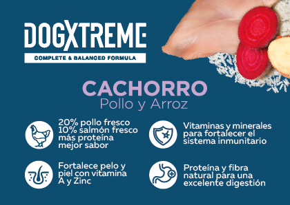 Dogxtreme Puppy pollo y arroz alimento seco para perro, , large image number null
