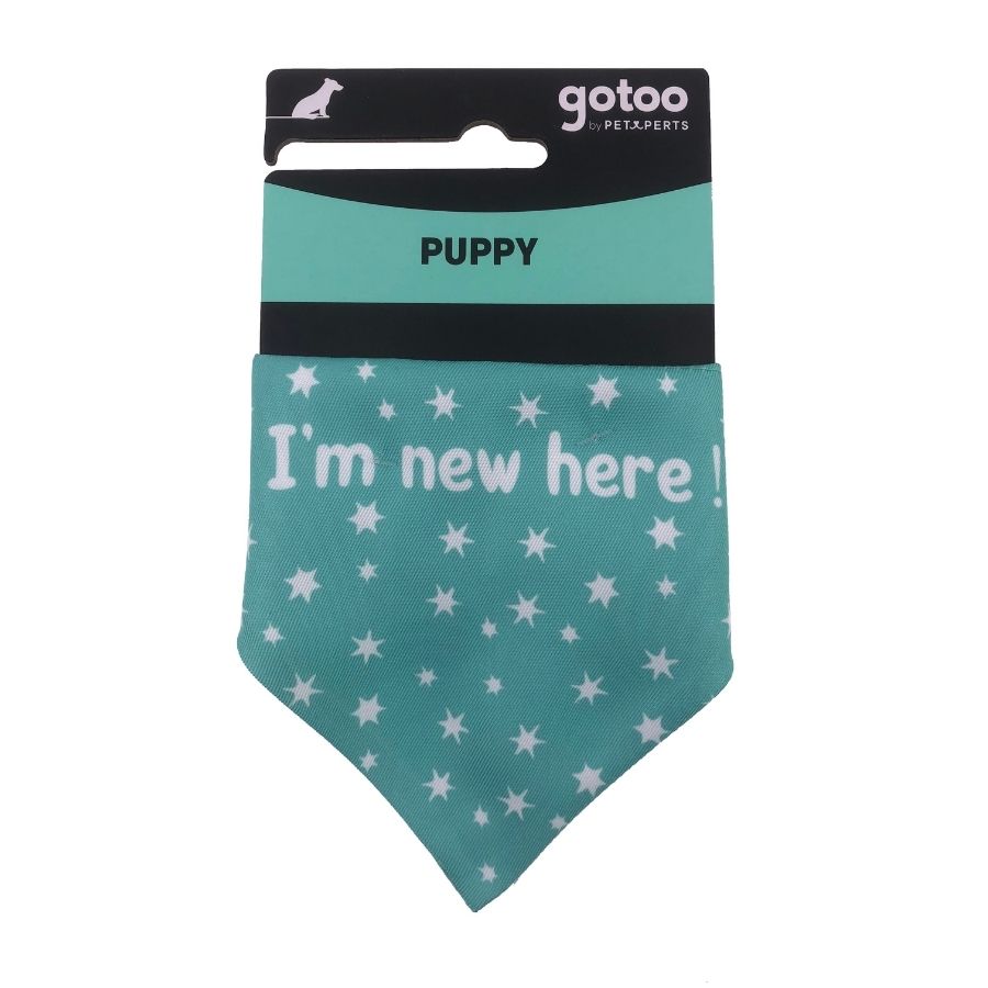 Bandana verde menta con estampado de estrellas para cachorros, , large image number null