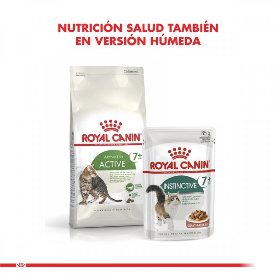 Royal Canin adulto Active 7+ alimento para gato, , large image number null