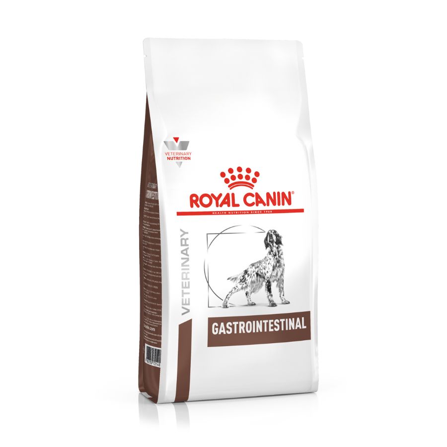Royal Canin Alimento Seco Perro Adulto Gastrointestinal, , large image number null