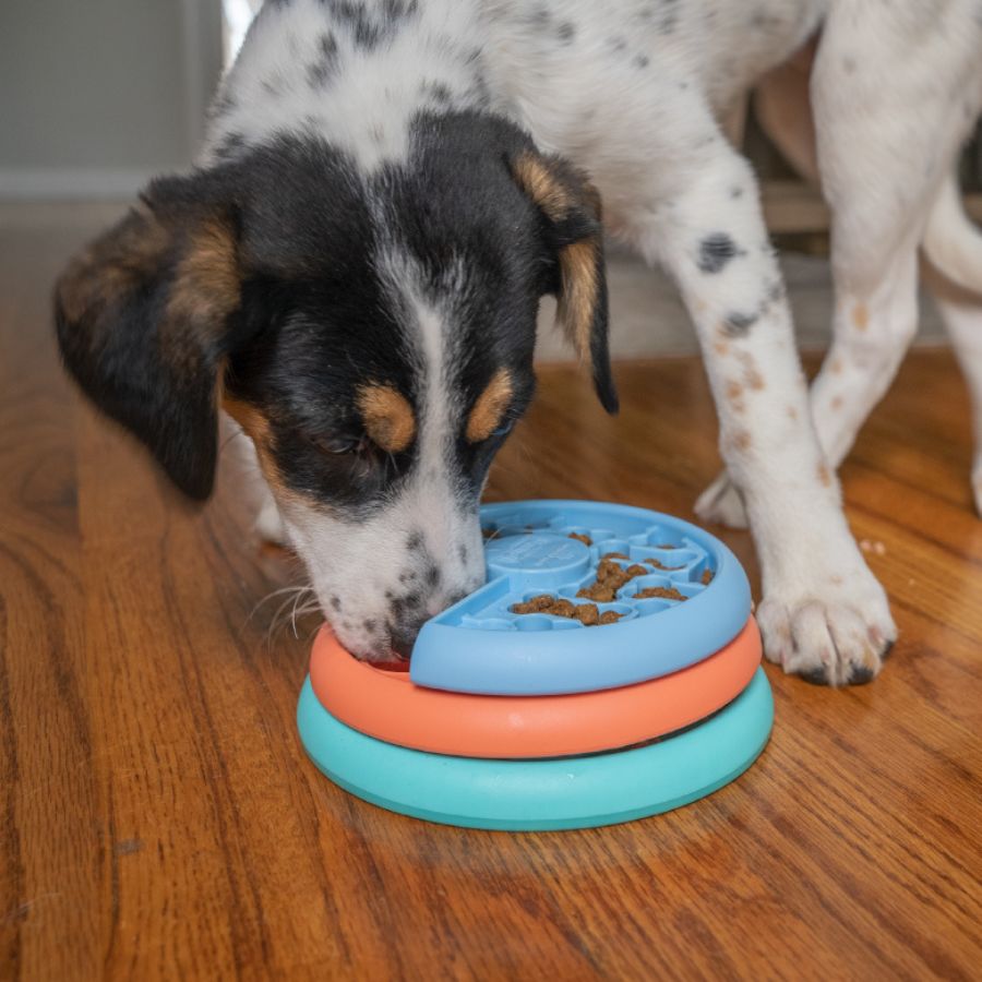 Outward Hound Nina Ottosson Puppy Lickin' Layers Juguete Interactivo con snack para cachorros, , large image number null