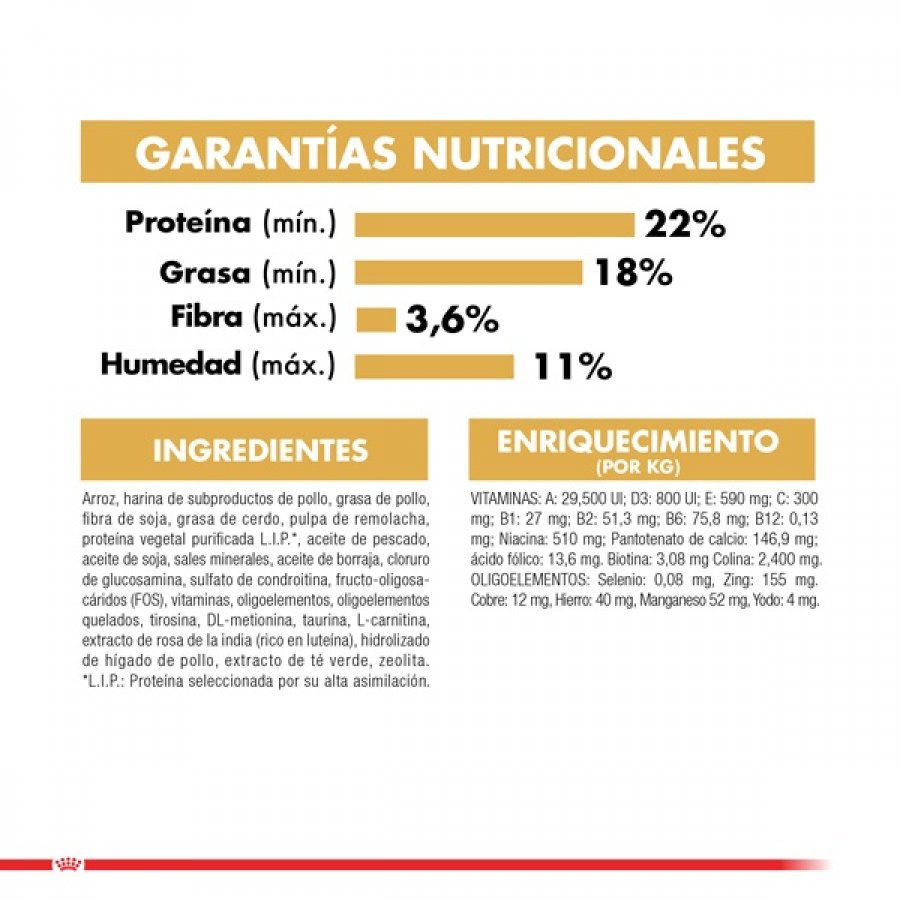 Royal Canin adulto Shih Tzu alimento para perro, , large image number null
