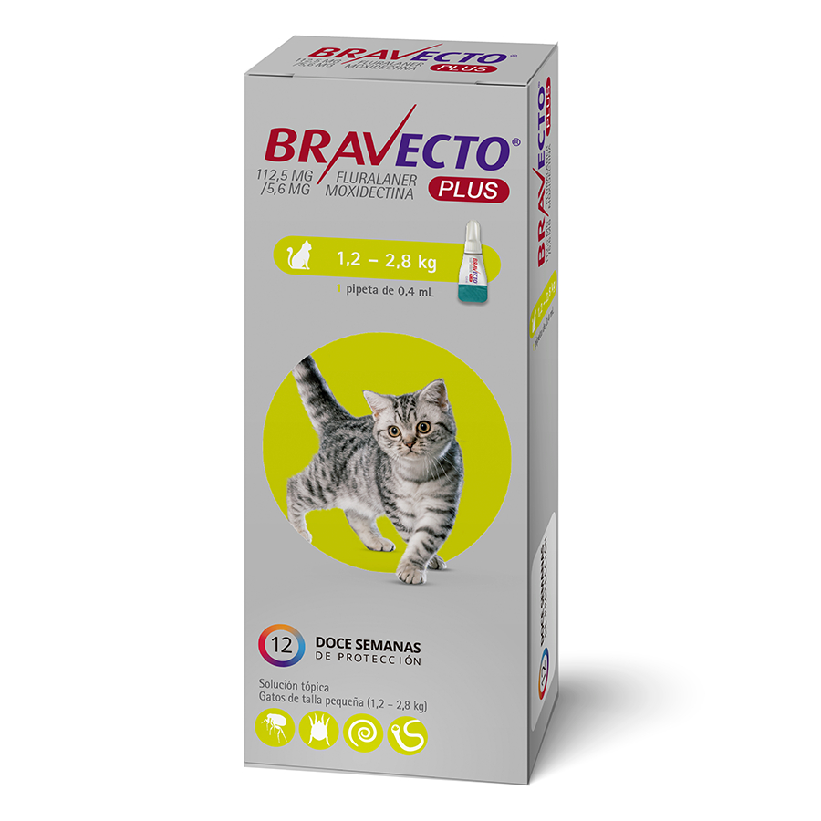 Bravecto Plus de 112.5 MG para gatos de 1.2 a 2.8 KG