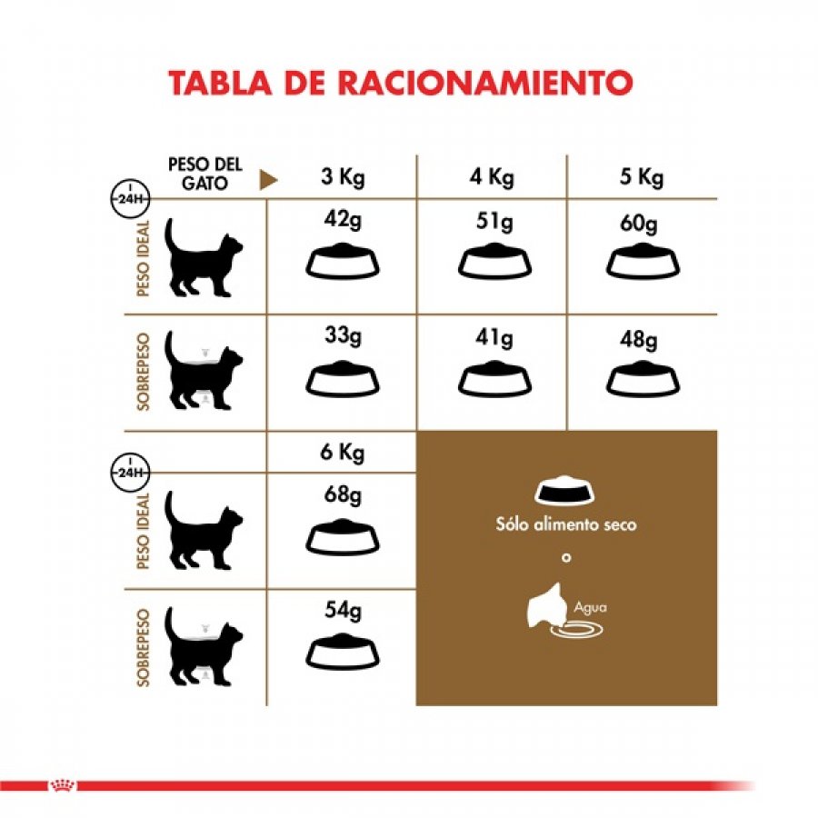 Royal Canin adulto ageing 12+ 2KG alimento para gato, , large image number null