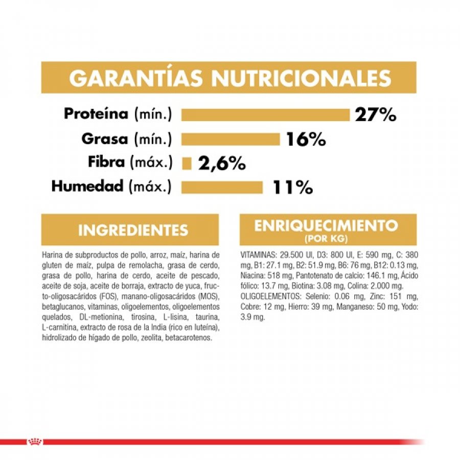 Royal Canin Cachorro Pug Junior alimento para perro, , large image number null