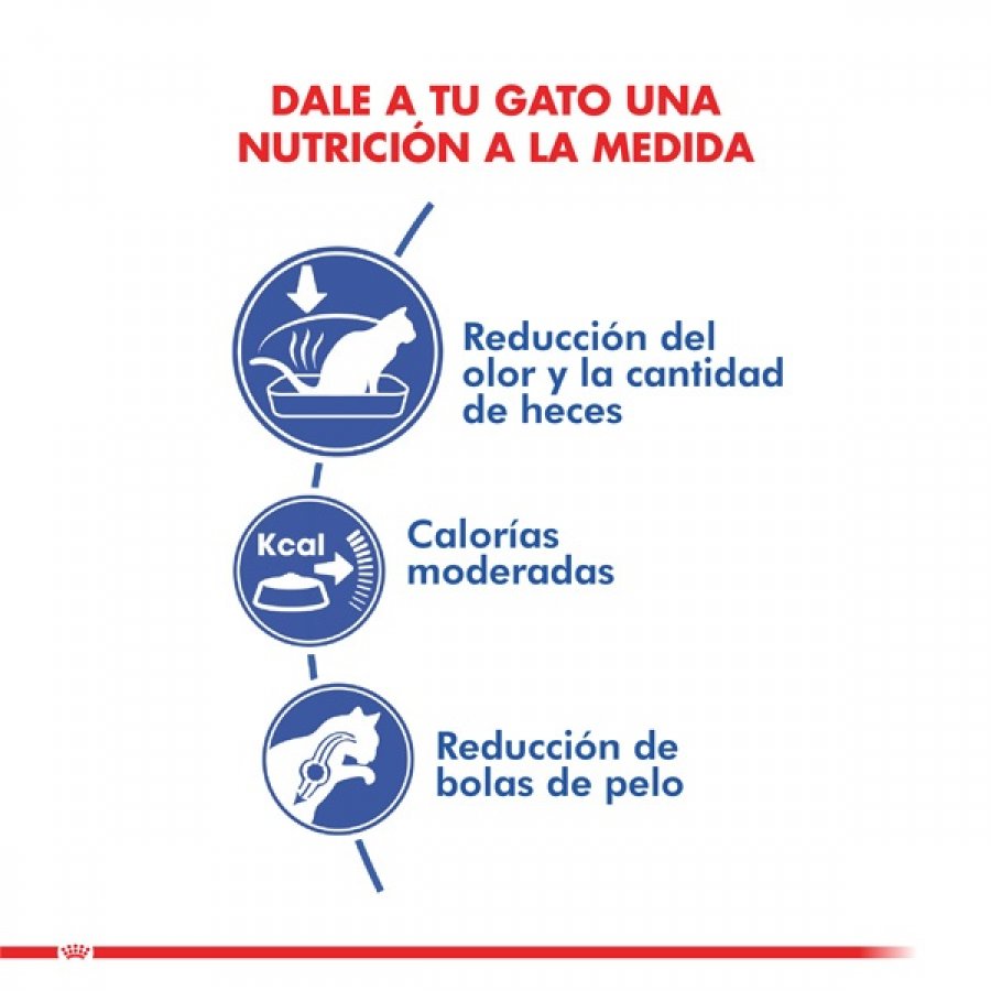 Royal Canin adulto Indoor alimento para gato, , large image number null