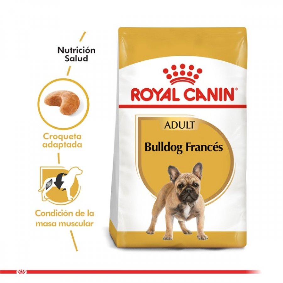 Royal Canin adulto Bulldog Frances alimento para perro, , large image number null