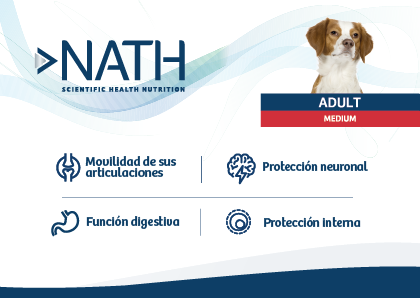 Nath adulto Medium sabor pollo y arroz integral alimento para perros, , large image number null