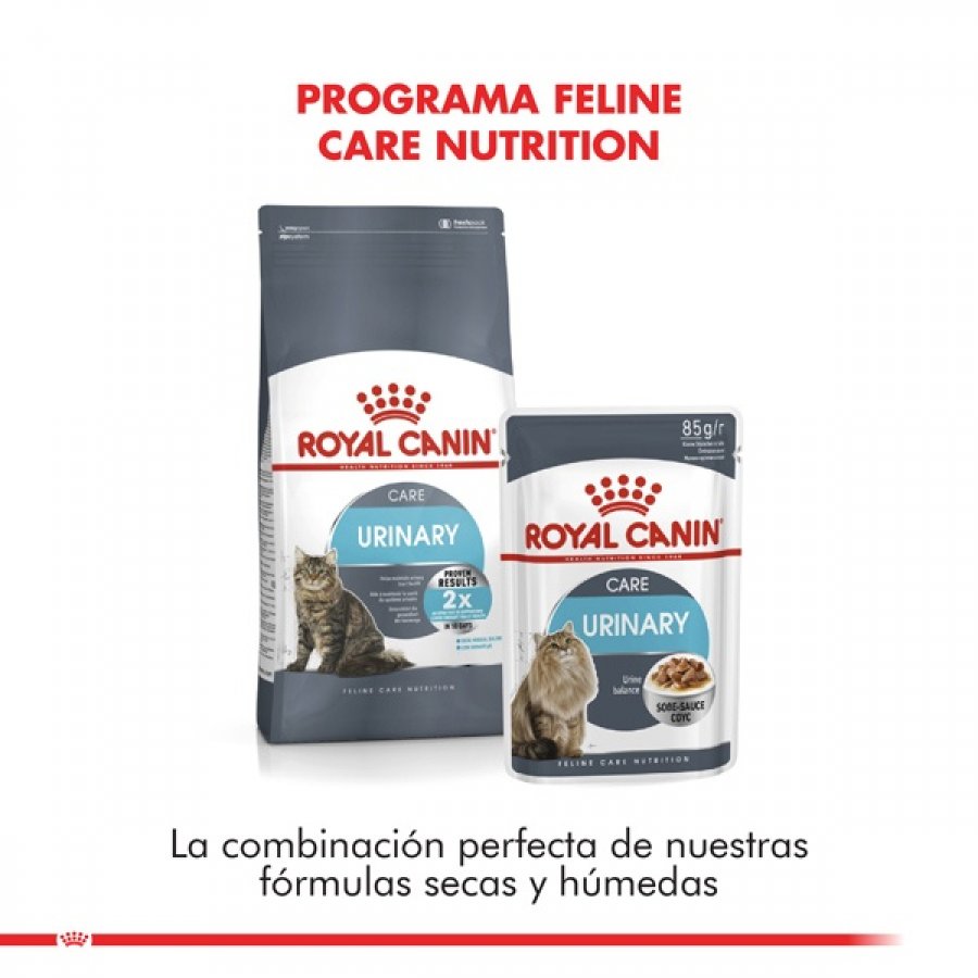 Royal Canin Alimento Seco Gato Adulto Urinary Care, , large image number null
