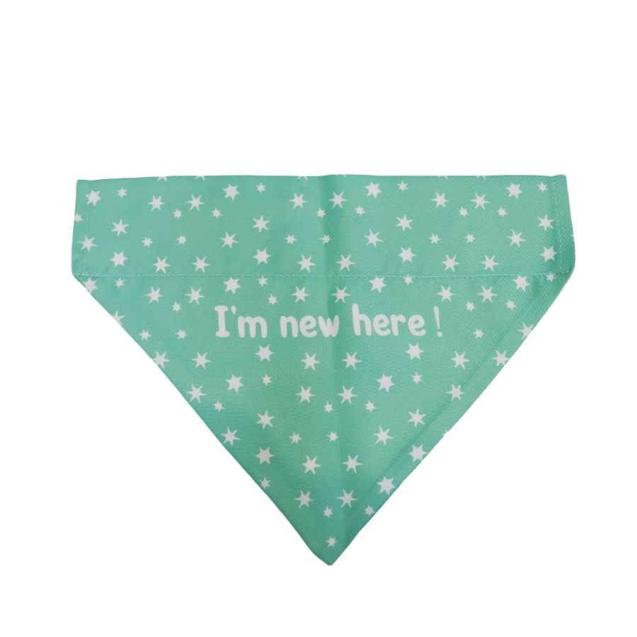 Bandana verde menta con estampado de estrellas para cachorros, , large image number null