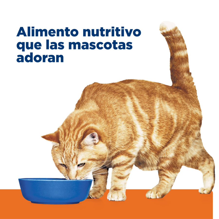 Hills Feline lata Multicare pollo C/D alimento húmedo para gatos 155 GR, , large image number null