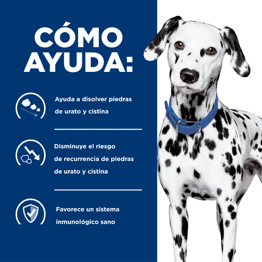 Hills Canine lata Urinary Care U/D alimento húmedo para perros, , large image number null