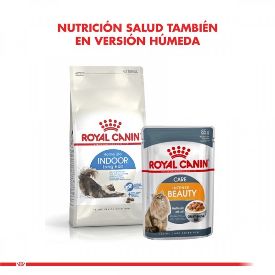 Royal Canin Alimento Seco Gato Adulto Indoor Long Hair, , large image number null