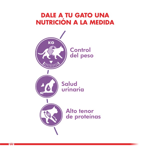 Royal Canin Alimento Seco Gato Adulto Regular Sterilised, , large image number null