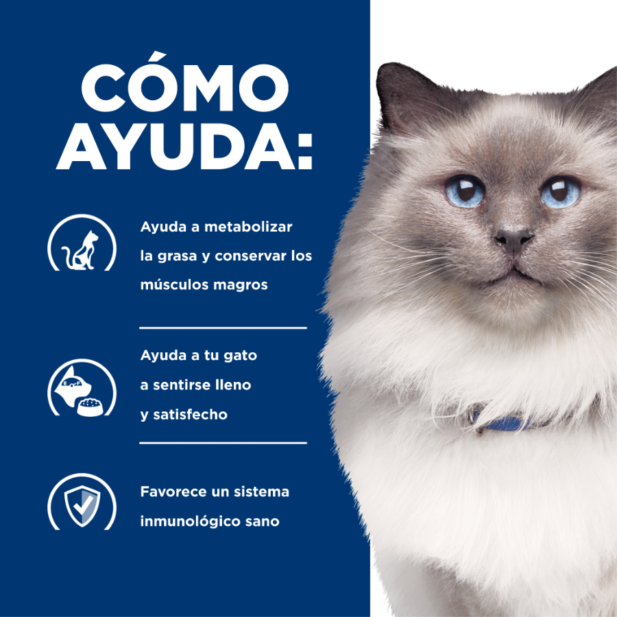 Hills Feline R/D Weight Reduction, , large image number null
