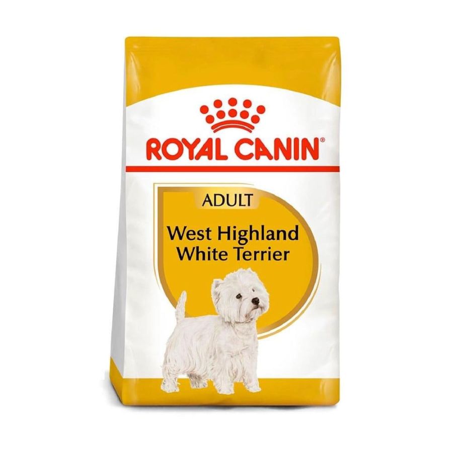 Westie adult, , large image number null