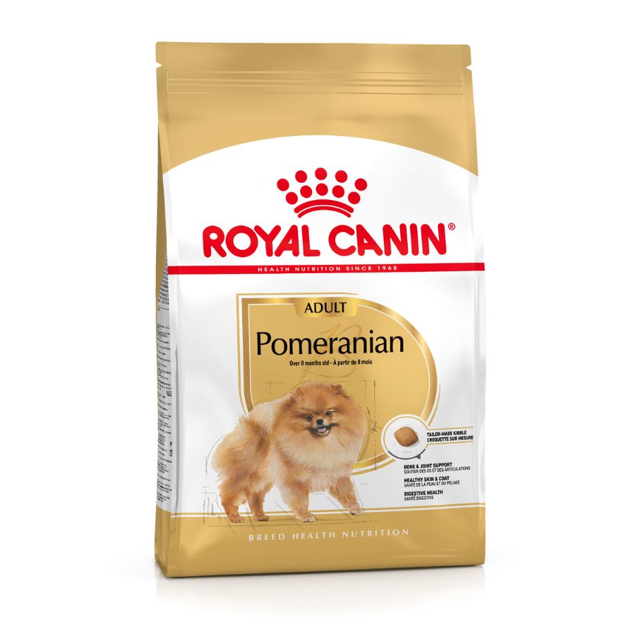 Pomeranian 1.5 KG, , large image number null