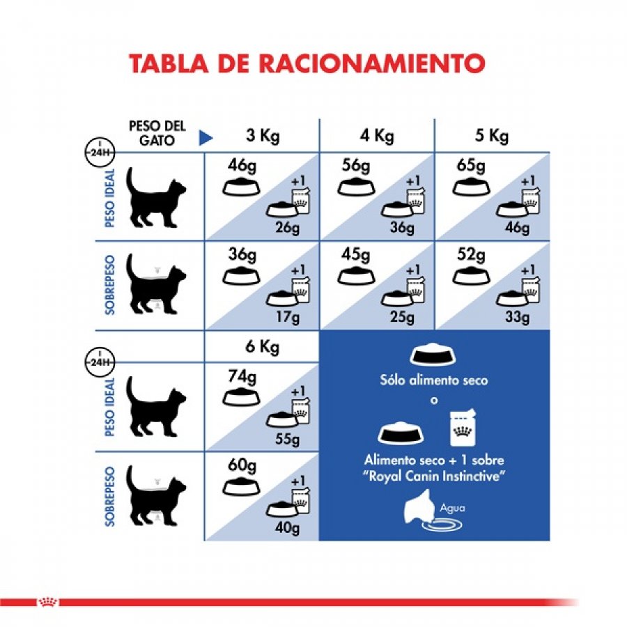 Royal Canin adulto Indoor alimento para gato, , large image number null