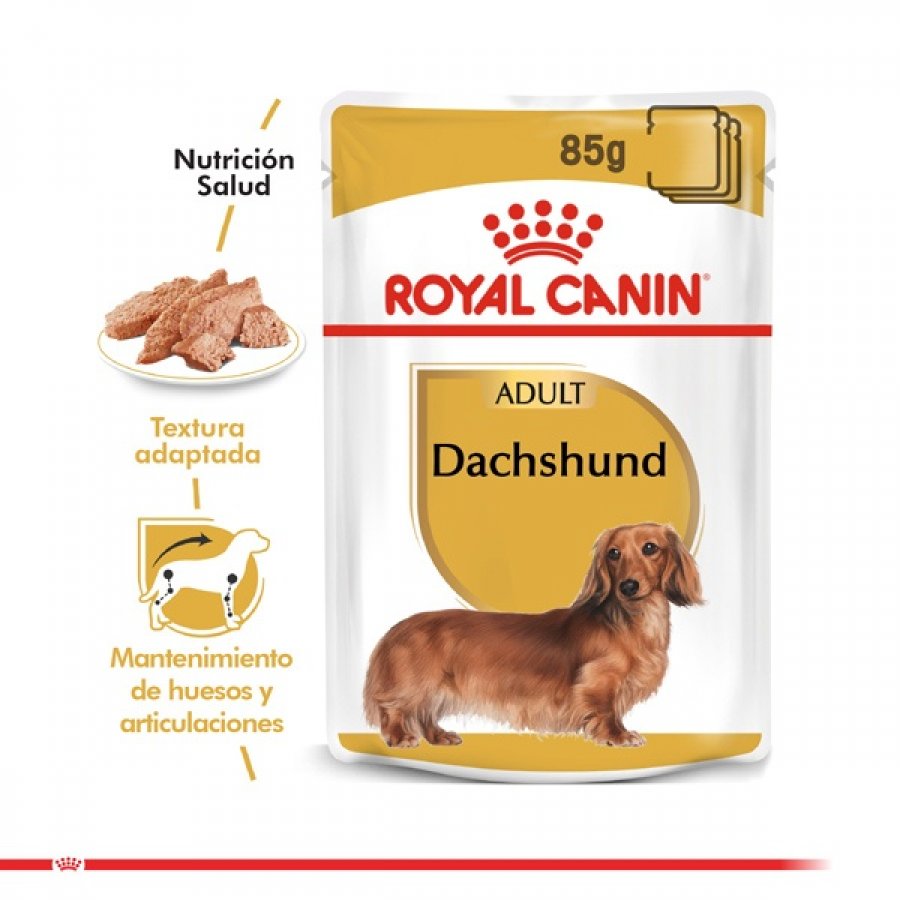 Royal Canin Alimento Húmedo Perro Adulto Dachshund, , large image number null