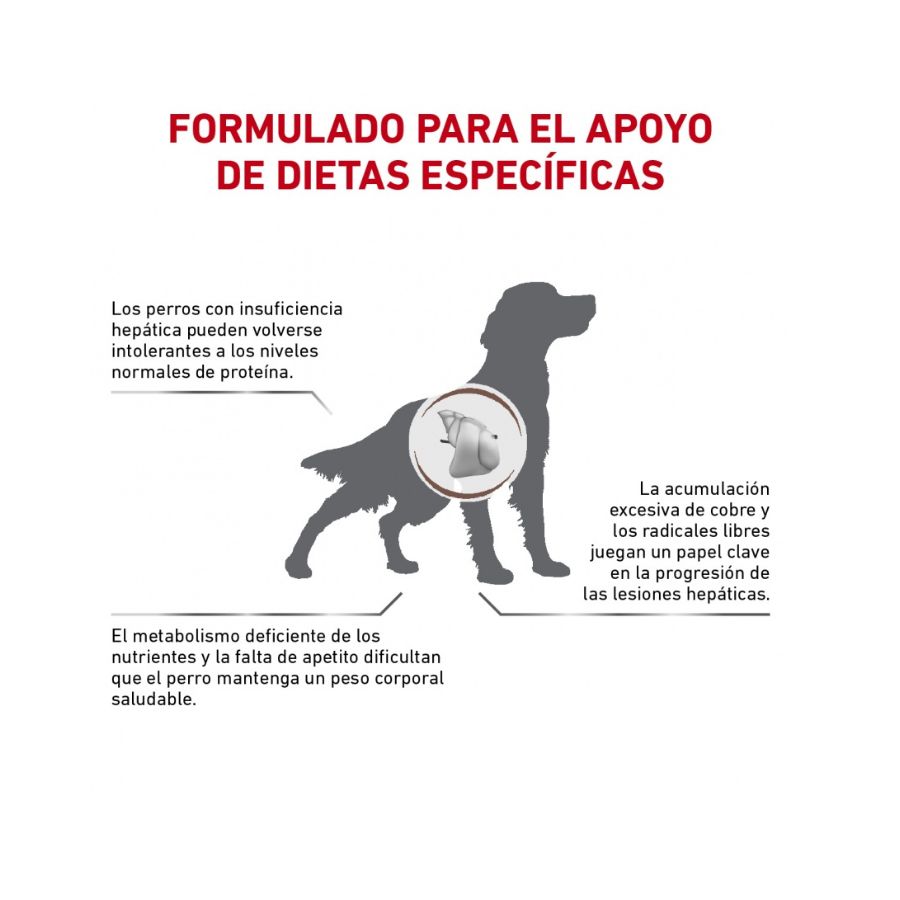 Royal Canin Alimento Seco Perro Adulto Hepatic, , large image number null