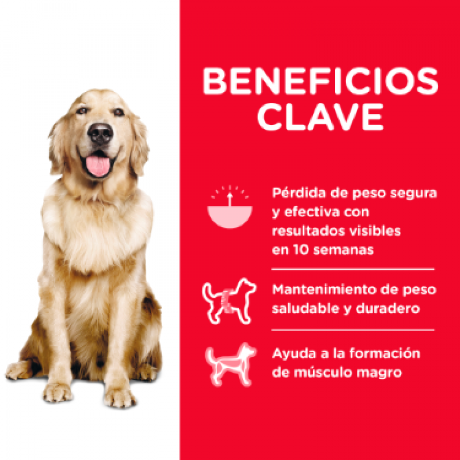 Hills Canine Adult Perfect Weight -, , large image number null