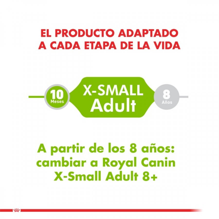 Royal Canin adulto X-Small Adult alimento para perro, , large image number null