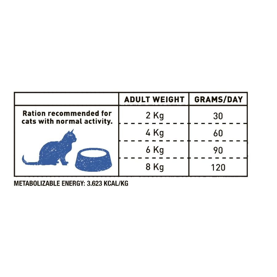 Bravery herring senior cat, , large image number null