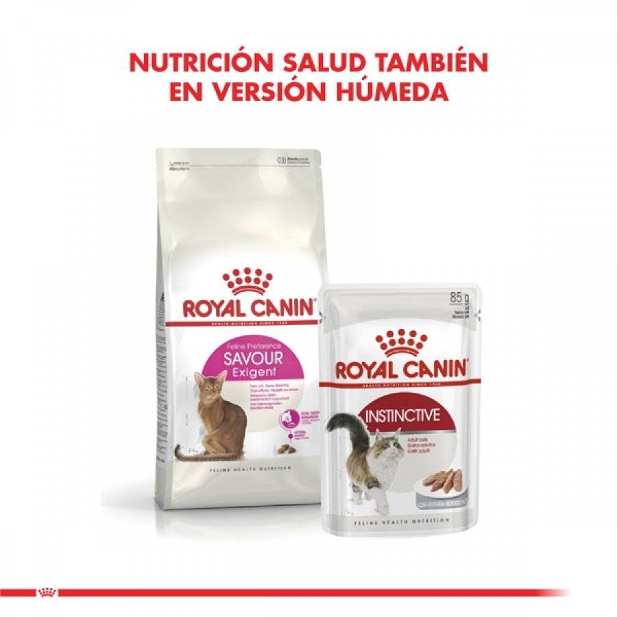 Royal Canin adulto Exigent alimento para gato, , large image number null