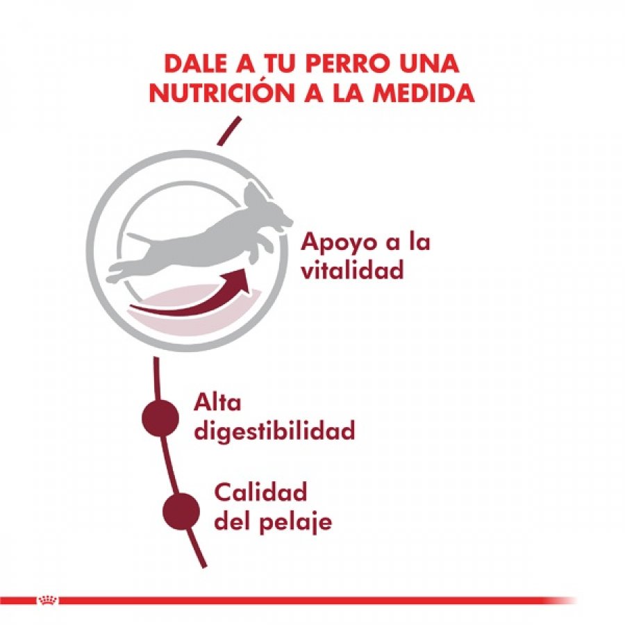 Royal Canin Alimento Seco Perro Adulto Medium Adult 7+, , large image number null