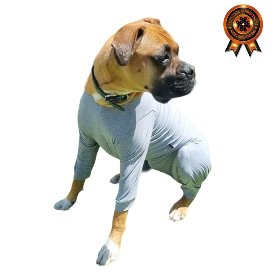 Body nano cobre completo y castraci&oacute;n para perros