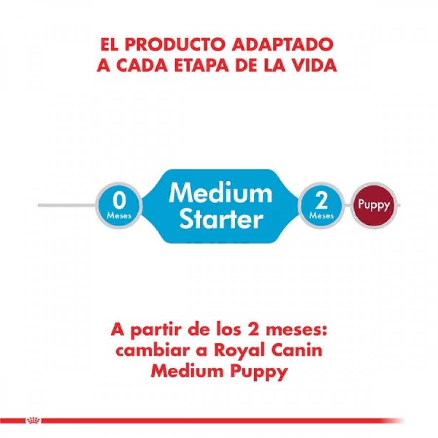 Royal Canin Cachorro Medium Starter alimento para perro, , large image number null