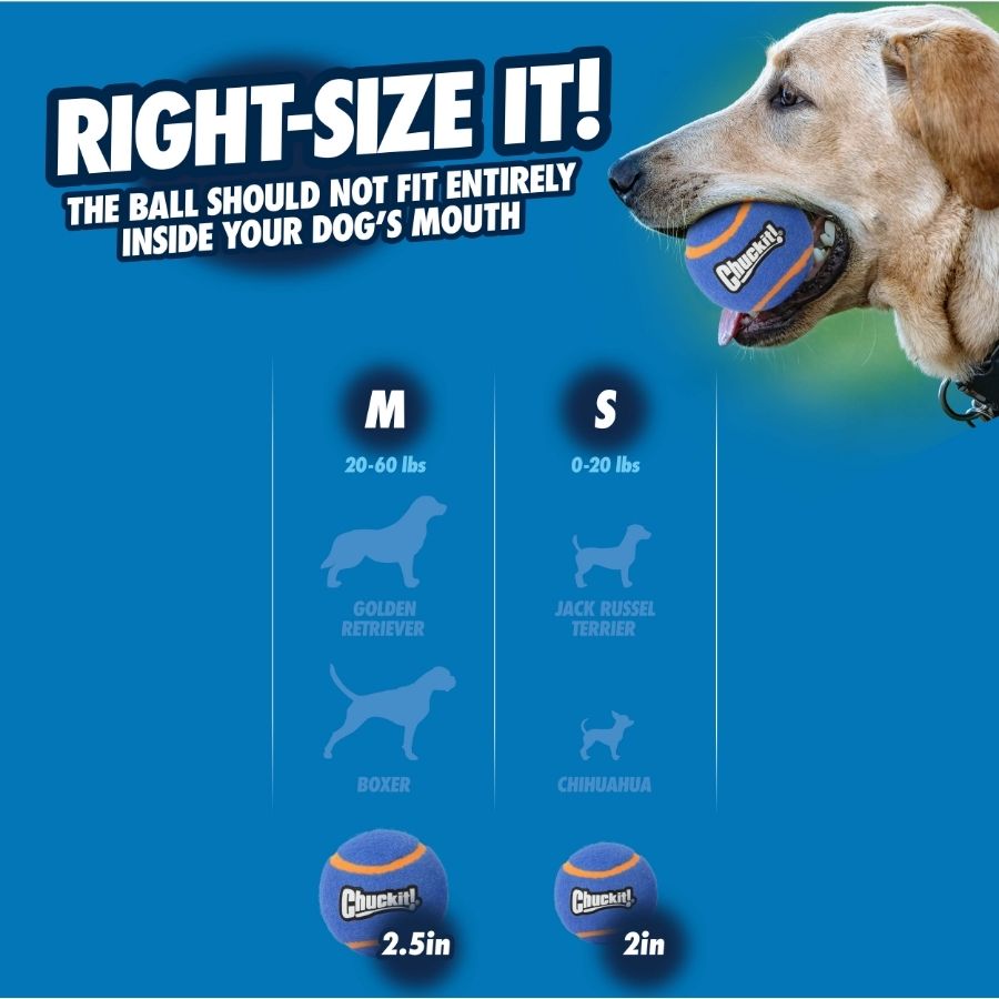 Ci squeaker tennis ball sm 2pk, , large image number null