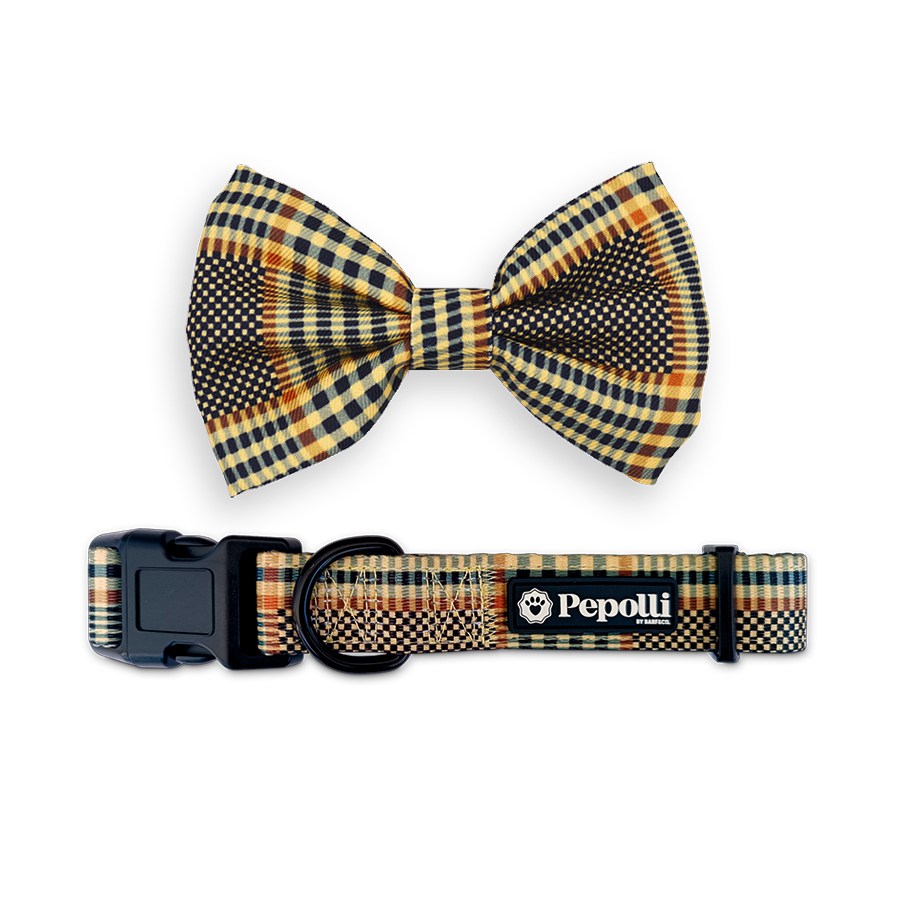 Pepolli set corbatín y collar - Talla M Dublin