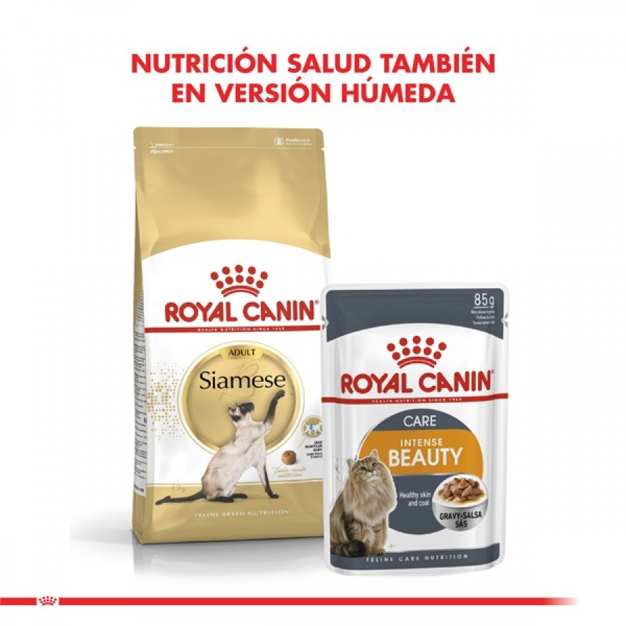 Royal Canin adulto siamese 1.5 KG alimento para gato, , large image number null