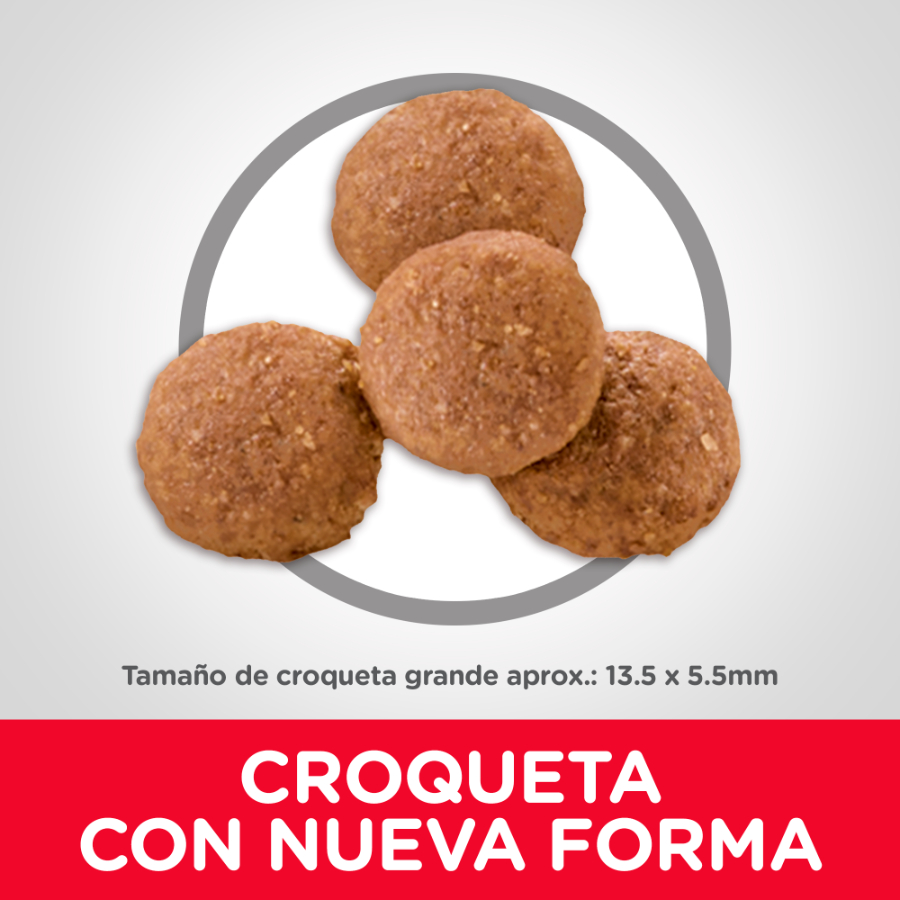 Hills Puppy Large Breed alimento para perro, , large image number null