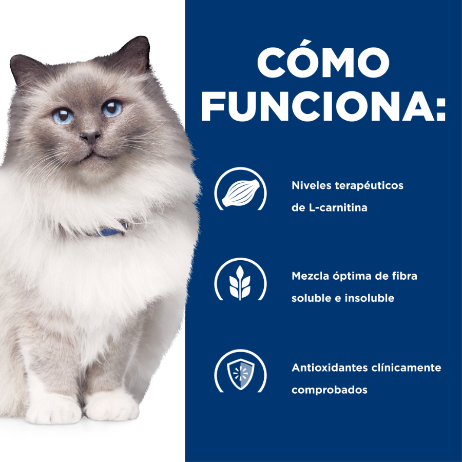 Hills Feline R/D Weight Reduction, , large image number null